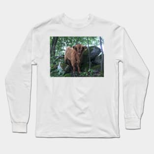 Scottish Highland Cattle Calf 1507 Long Sleeve T-Shirt